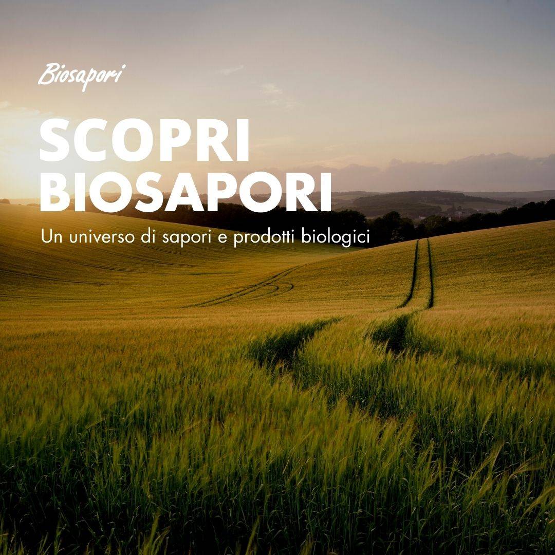 Tide_Biosapori