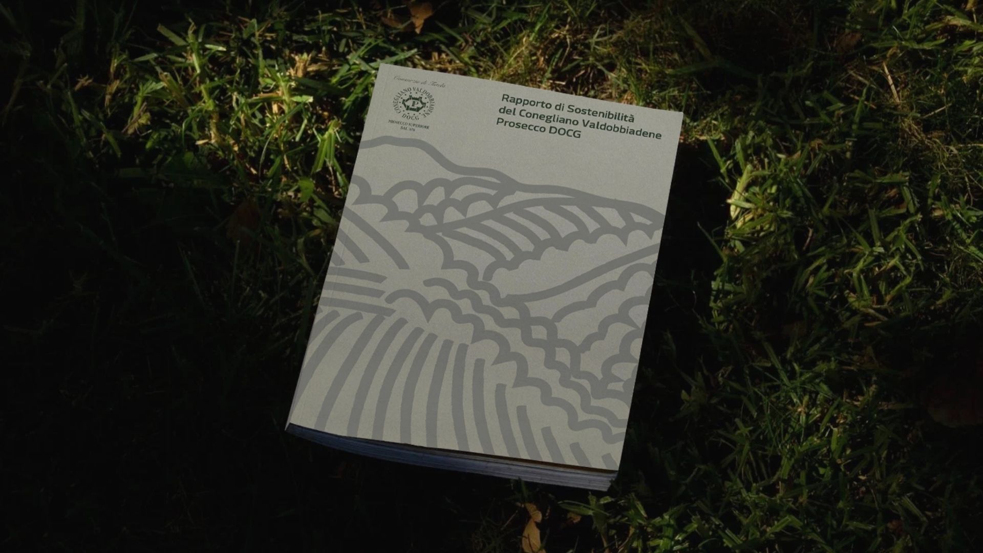 Consorzio_2