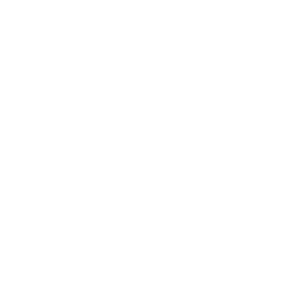 FernandoJorge_Logo