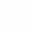 Vicarello_Logo