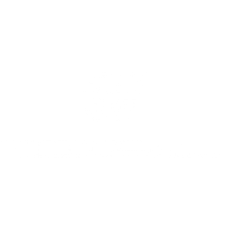Totem Totem